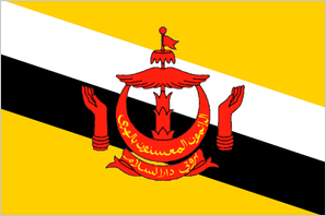 Brunei Darussalam flag